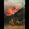 photograph of brush fire