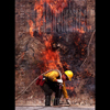 photograph of forest firefighter