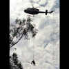 photograph of a horse rescue