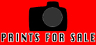 button for prints for sale